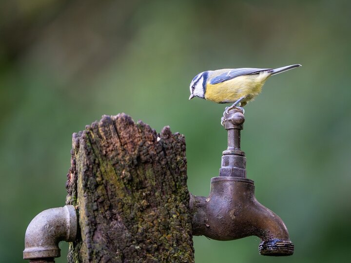Schnäppchenjäger aufgepasst: Traumreisen nach Thailand ab 1.114 Euro!