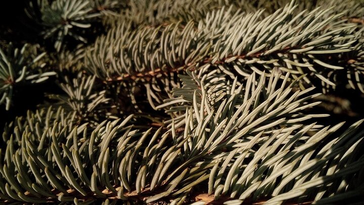 Unvergessliche Geschwisterreise: Wie Beverly Hills uns neu verband!