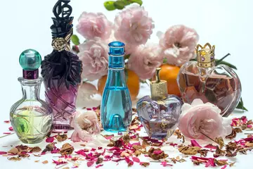 Ein Genuss für die Sinne: Damenparfums und die Kunst, sie auszuwählen