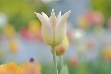 Die besten Badeziele im April: Sonne, Strand und Abenteuer warten!