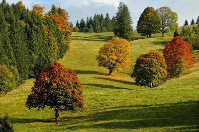 Herbstliche Entdeckungsreise: Kunstfestivals und neue Luxushotels in Japan!