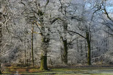 Reisemobil-Tourismus am Niederrhein: Boom bringt Millionen-Umsatz!