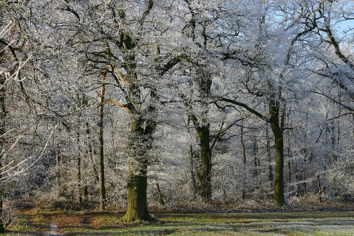 Reisemobil-Tourismus am Niederrhein: Boom bringt Millionen-Umsatz!