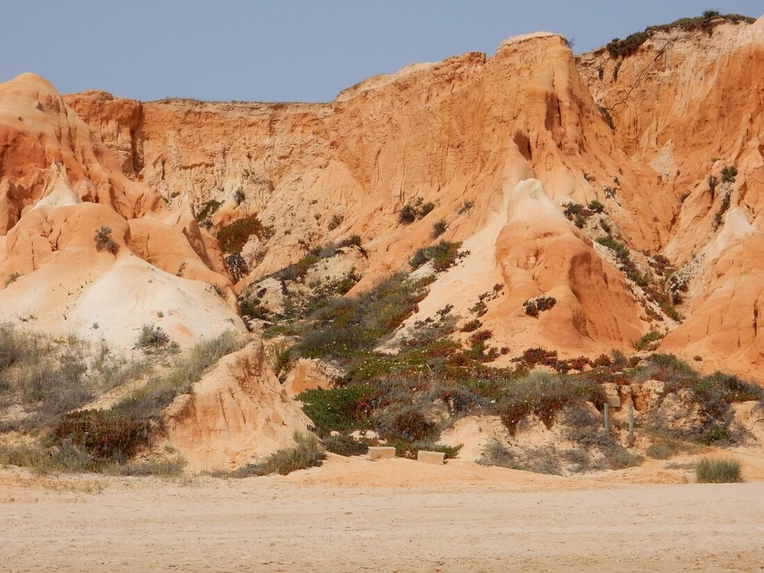 Albufeira führt ab Juli 2025 einen Verhaltenskodex für Touristen ein, um unangemessenes Verhalten zu regulieren und die Hygiene zu wahren.