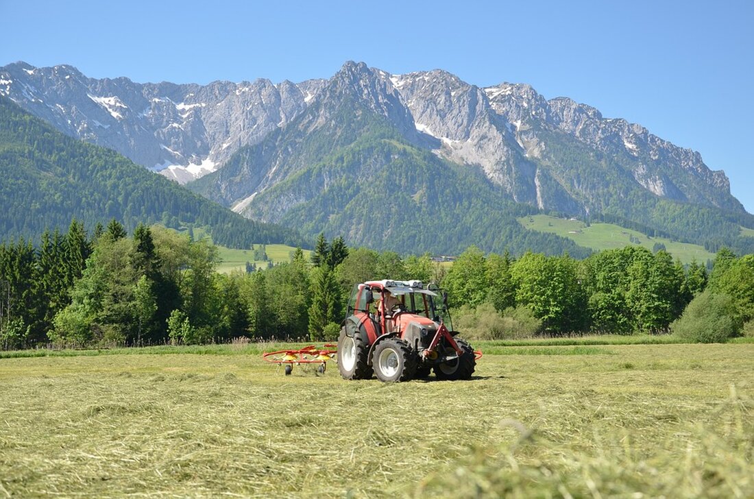 Erleben Sie die Almsommer-Eröffnung im SalzburgerLand am 15. Juni 2025 mit Musik, Wanderungen und handgemachten Produkten.