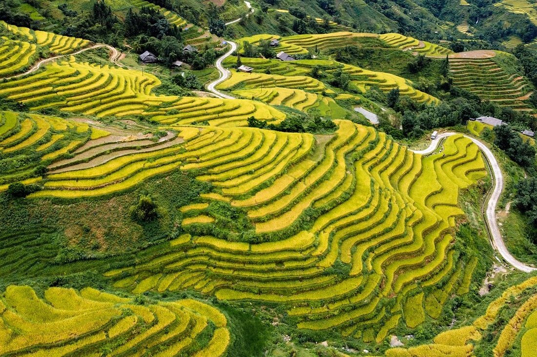An Giang fördert moderne Stadtentwicklung und nachhaltige Landwirtschaft. Fortschritte in Infrastruktur und Lebensqualität seit 2023.