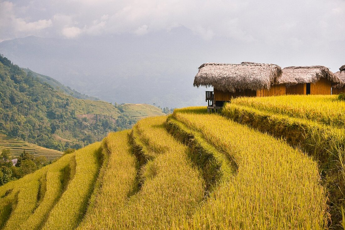 An Giang setzt auf innovative Technologien im Tourismus, um ein modernes Ökosystem zu schaffen und Besucher zu begeistern.