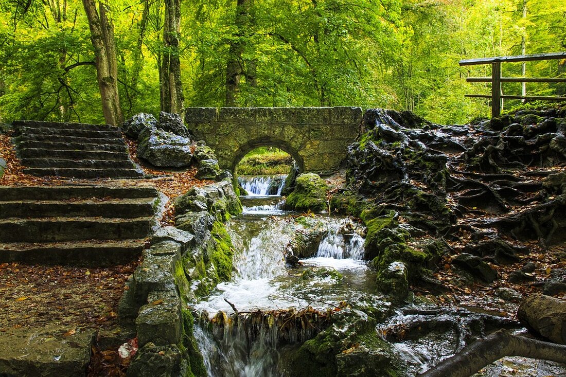 Entdecke die vielfältigen Naturschätze, historischen Städte und spannenden Outdoor-Aktivitäten in Deutschland! 🌍🏰🌲 #Deutschland #Reisen #Natur #Kultur