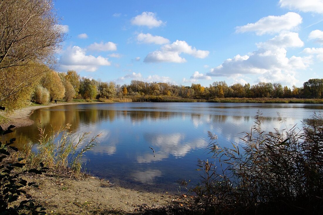 Entdecken Sie die Badesaison in Helsinki 2025: Neue Strände, mehr Rettungsschwimmer und ausgezeichnete Wasserqualität erwarten Sie!