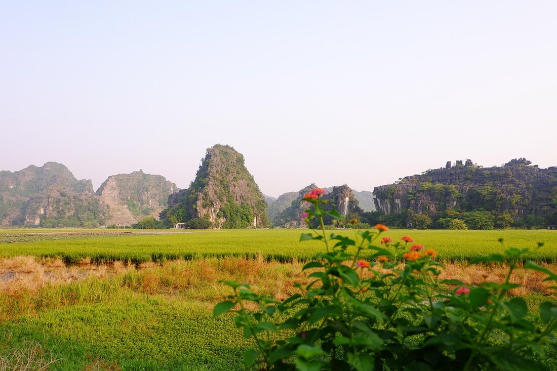 Binh Thuan fördert grünen Tourismus durch digitale Transformation und geistiges Eigentum zur nachhaltigen Entwicklung und Innovation.
