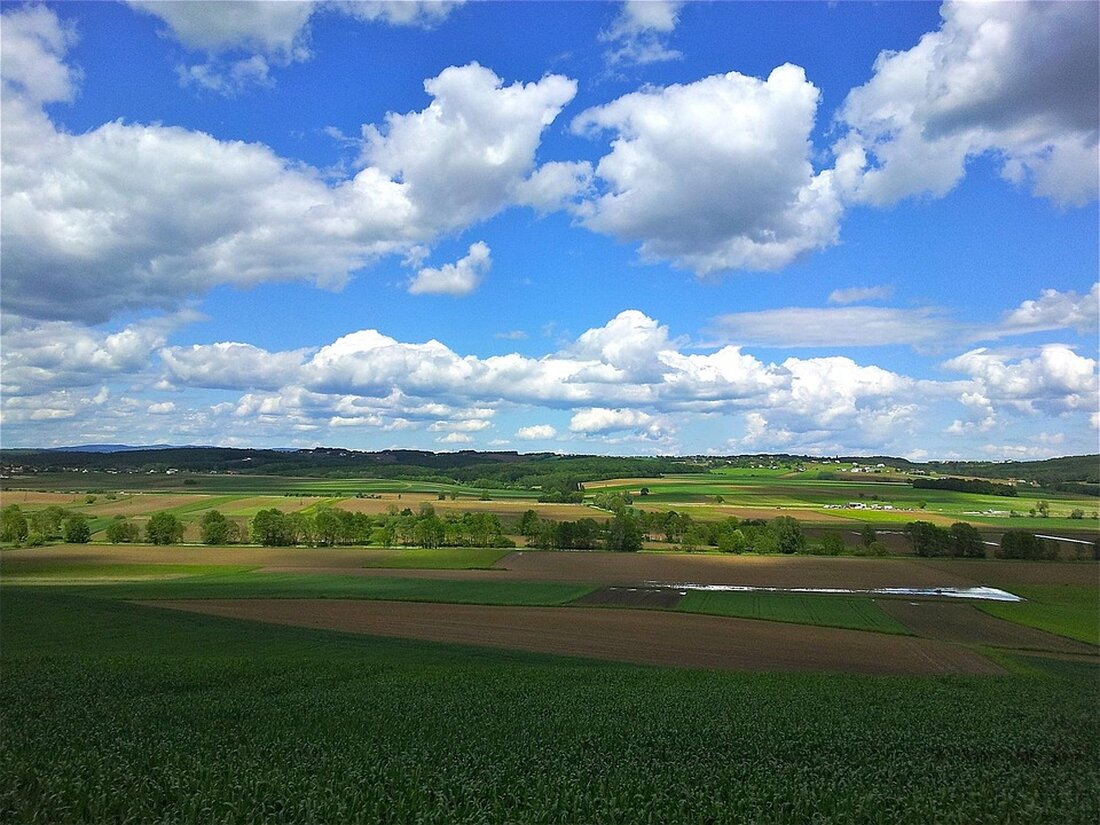 Der Burgenland-Tourismus verzeichnet 2025 einen Rekordanstieg der Nächtigungen, mit Fokus auf internationale Gäste und saisonverlängernde Strategien.
