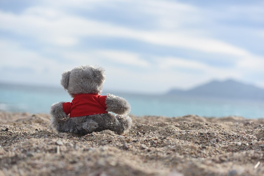 Cannes begrenzt ab 2024 große Kreuzfahrtschiffe. Nur 34 Ankünfte pro Jahr, aus Umweltschutzgründen. Informieren Sie sich hier.