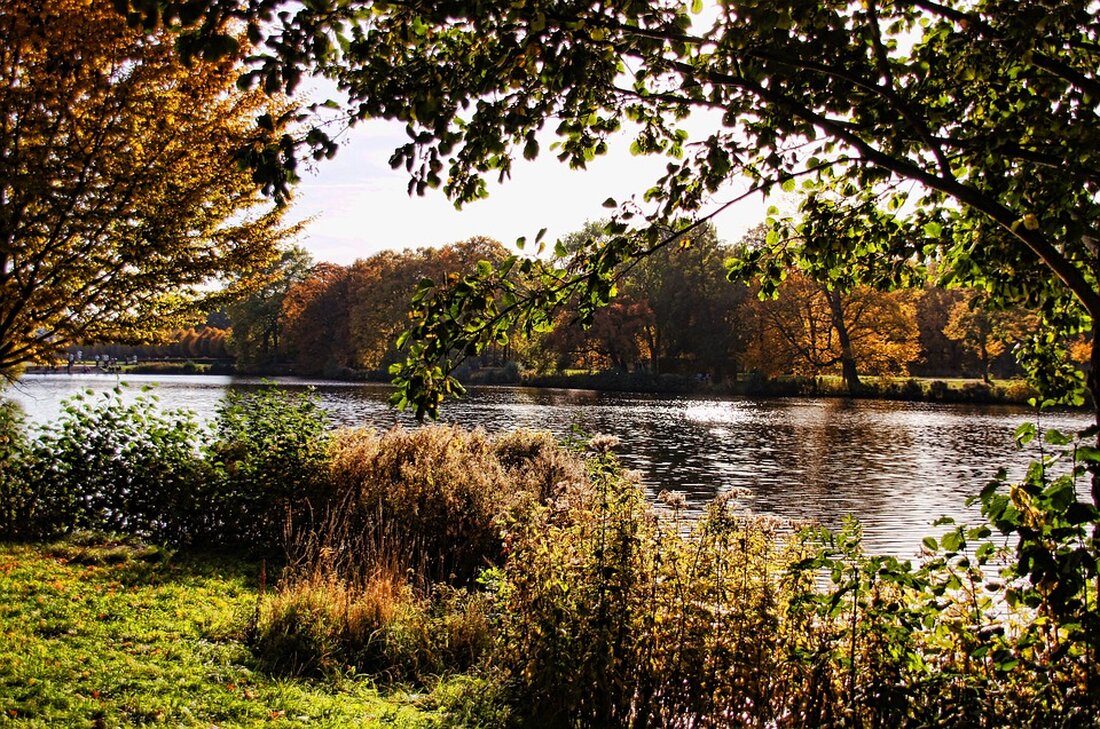 Entdecken Sie Charlottenburg-Wilmersdorf: Von Schlosspark-Spaziergängen über spannende Kultur im Deutschen Technikmuseum bis hin zu kulinarischen Genüssen und Kunst-Impressionen.