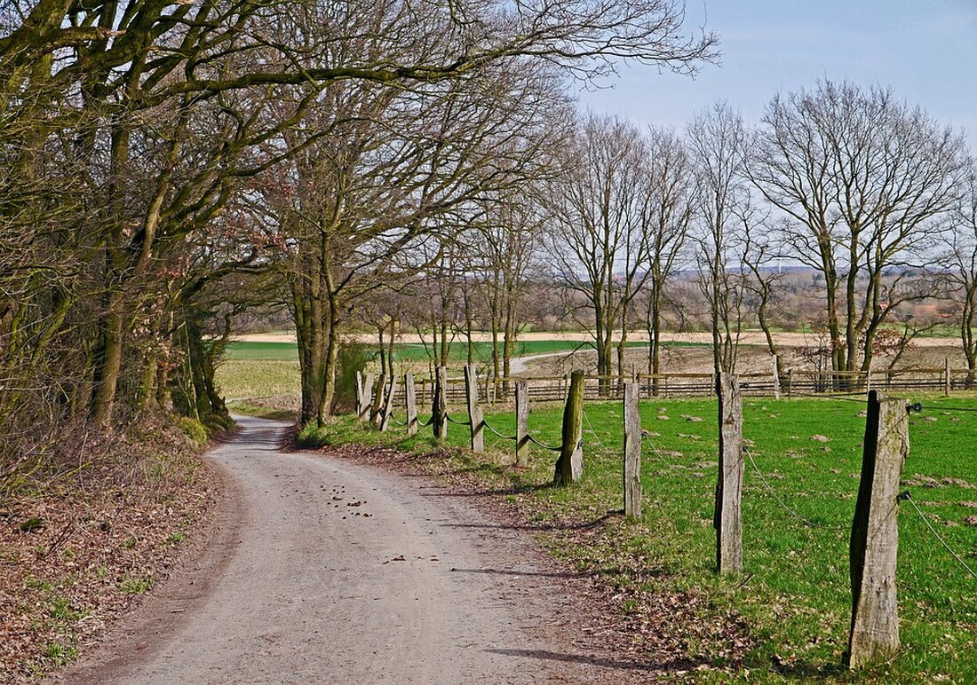 Entdecken Sie die charmante Altstadt von Coesfeld, kulinarische Highlights, traumhafte Natur, lebendige Kultur und familienfreundliche Aktivitäten für unvergessliche Momente!