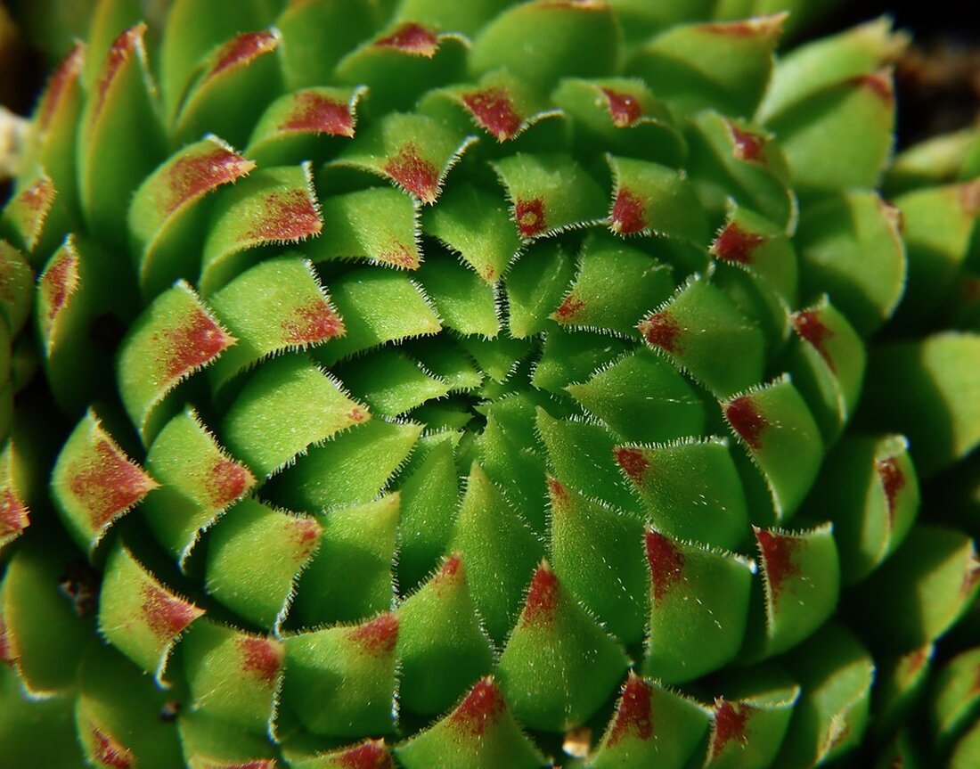 Die EU plant Änderungen der Pauschalreiserichtlinie, um Verbraucherschutz zu stärken und klare Stornierungsrechte zu schaffen.
