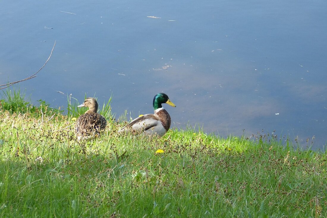 Thierry plant, den Familienurlaub von 1998 in Griechenland zu wiederholen. Doch persönliche Konflikte bedrohen sein Vorhaben.