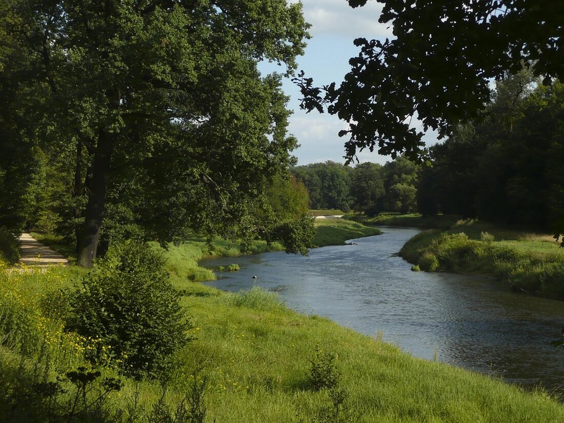 Entdecke die Naturparadiese Spree-Neiße: Kulturelle Highlights, kulinarische Köstlichkeiten und spannende Aktivitäten warten auf dich! Besuche unvergessliche Events!