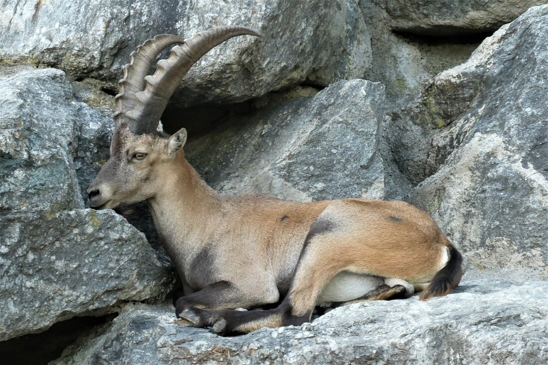 Entdecken Sie Pedro Barba auf La Graciosa: ein unberührtes Fischerdorf der Kanaren, ideal für Naturliebhaber und Ruhe suchende Reisende.