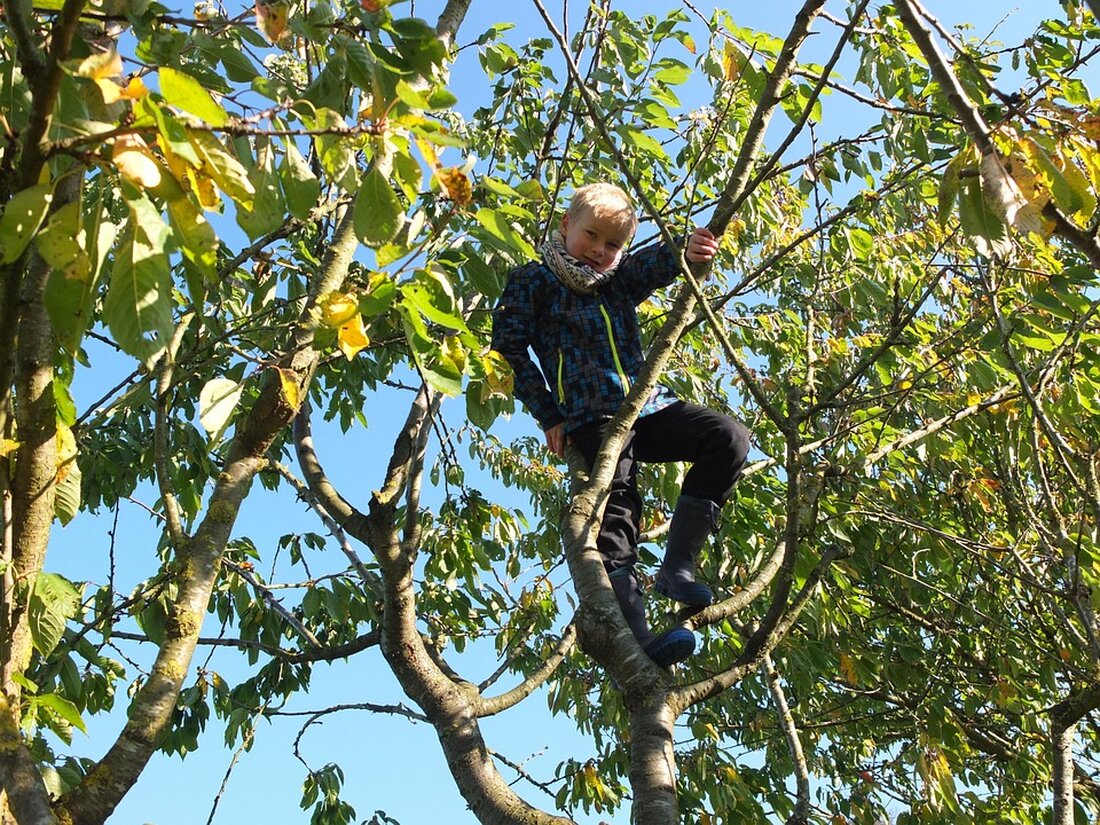 Am 6. Juli 2025 öffnen im Ruhrgebiet Privatgärten ihre Pforten für Besucher. Erleben Sie vielfältige Gartenlandschaften und Begegnungen.