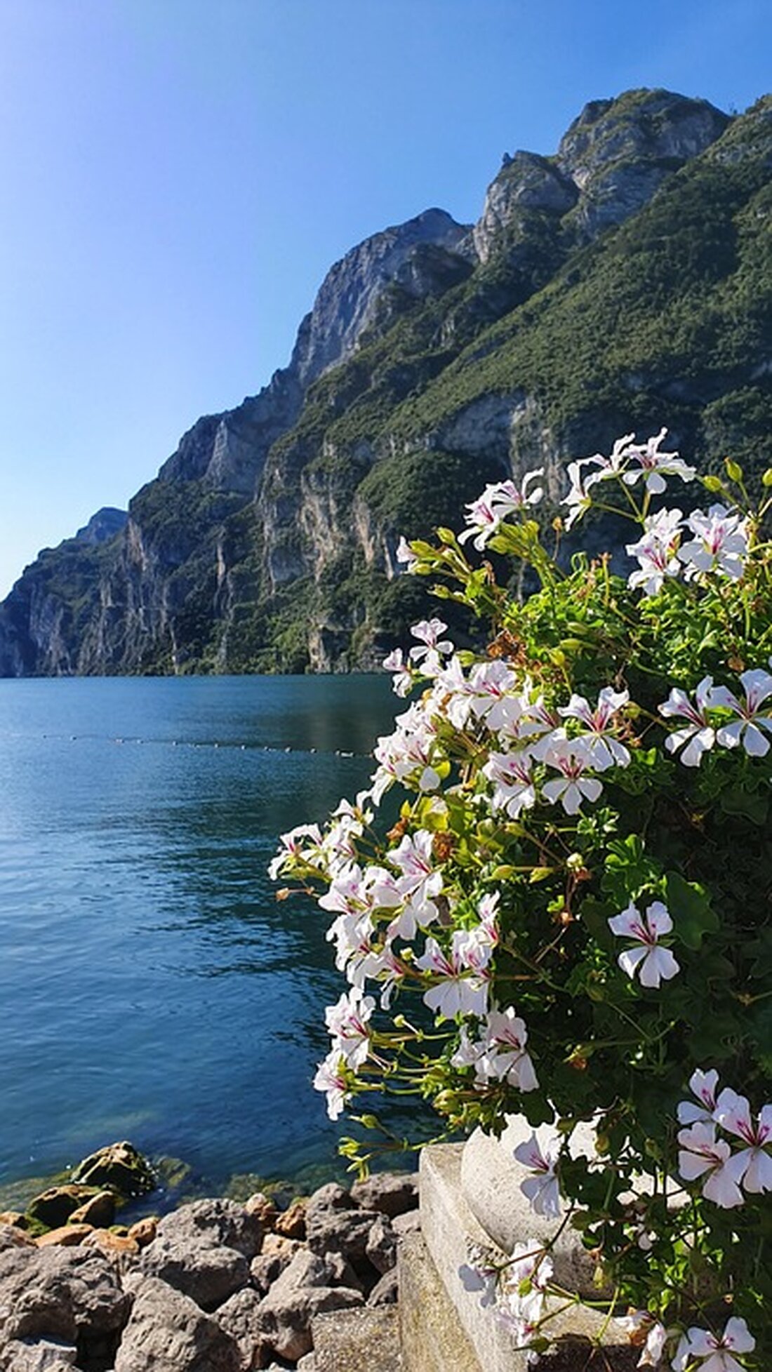 Am 21. Mai 2025 ereignete sich ein leichtes Erdbeben am Gardasee. Die Erschütterungen waren in beliebten Urlaubsorten spürbar.