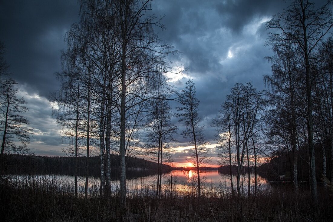 Finnland plant, die Altersgrenze für Reservisten zu erhöhen, während internationale Friedensgespräche zur Ukraine anstehen.