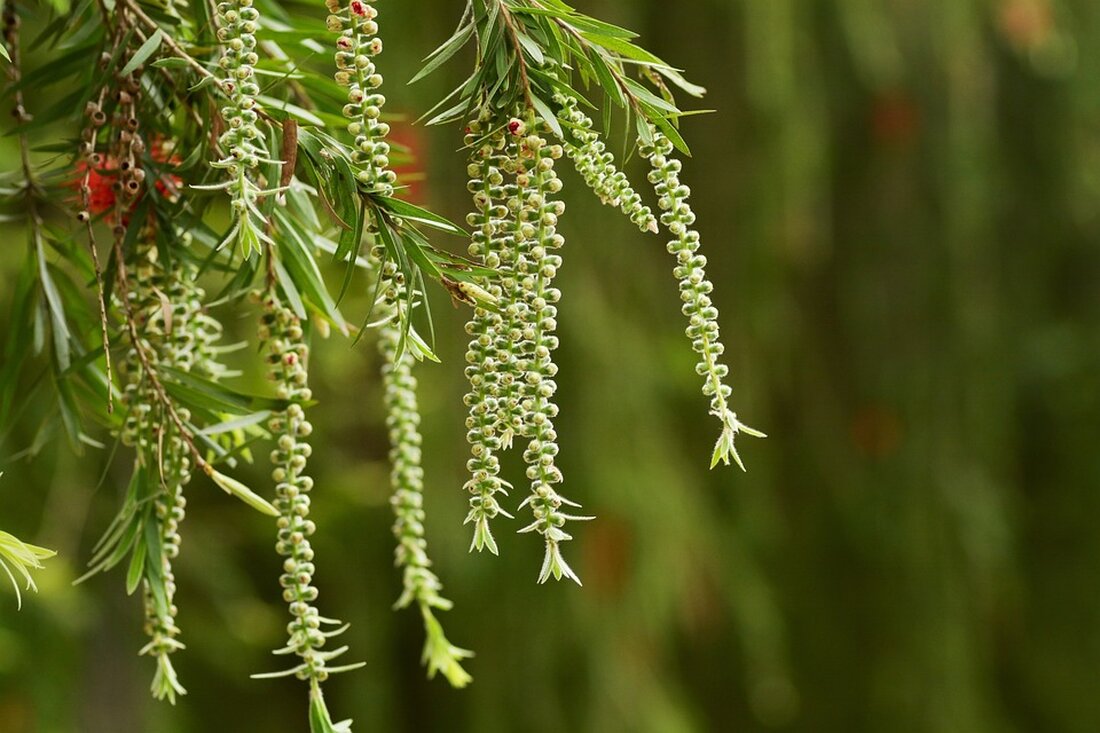 Entdecken Sie die besten Reiseziele im März 2026 für frühlingshafte Temperaturen in Europa und darüber hinaus.