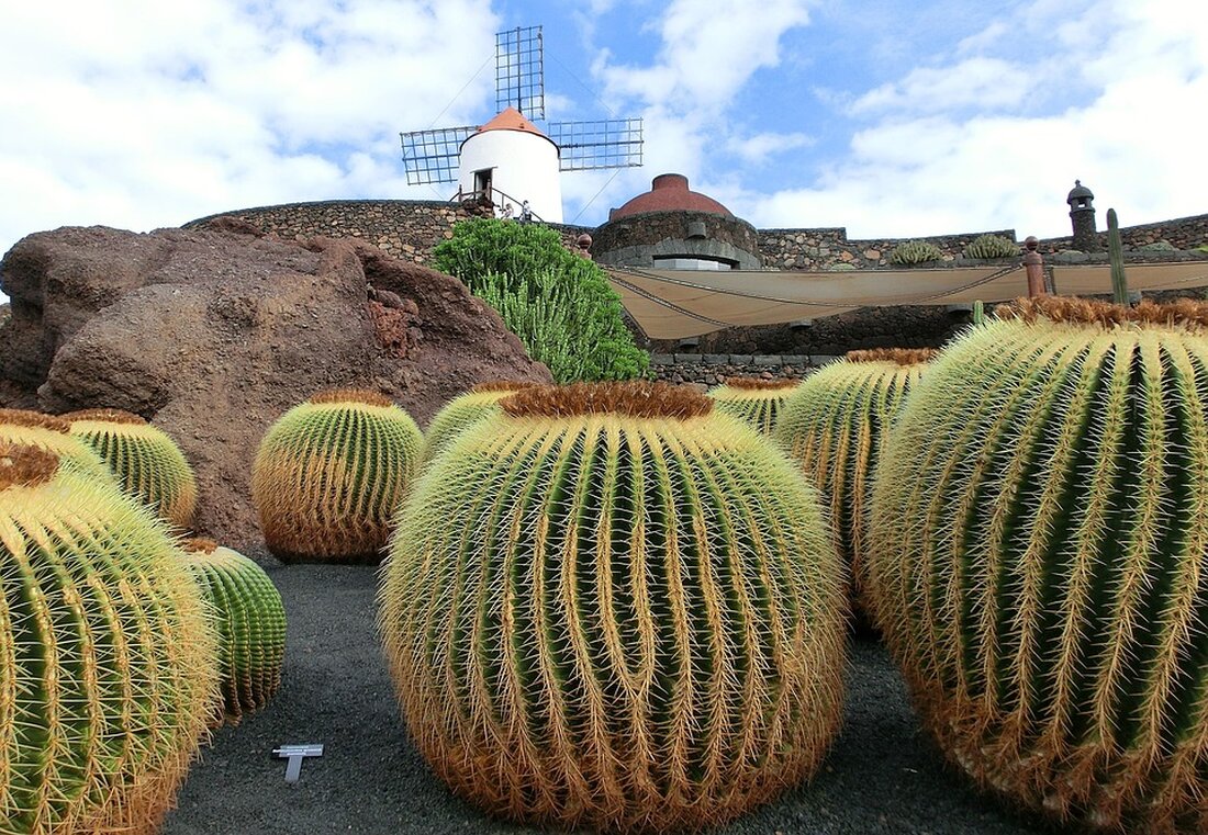 Erleben Sie die GastroCanarias 2025 in Lanzarote: Gastronomische Höhepunkte, lokale Produkte und kreative Kochshows.