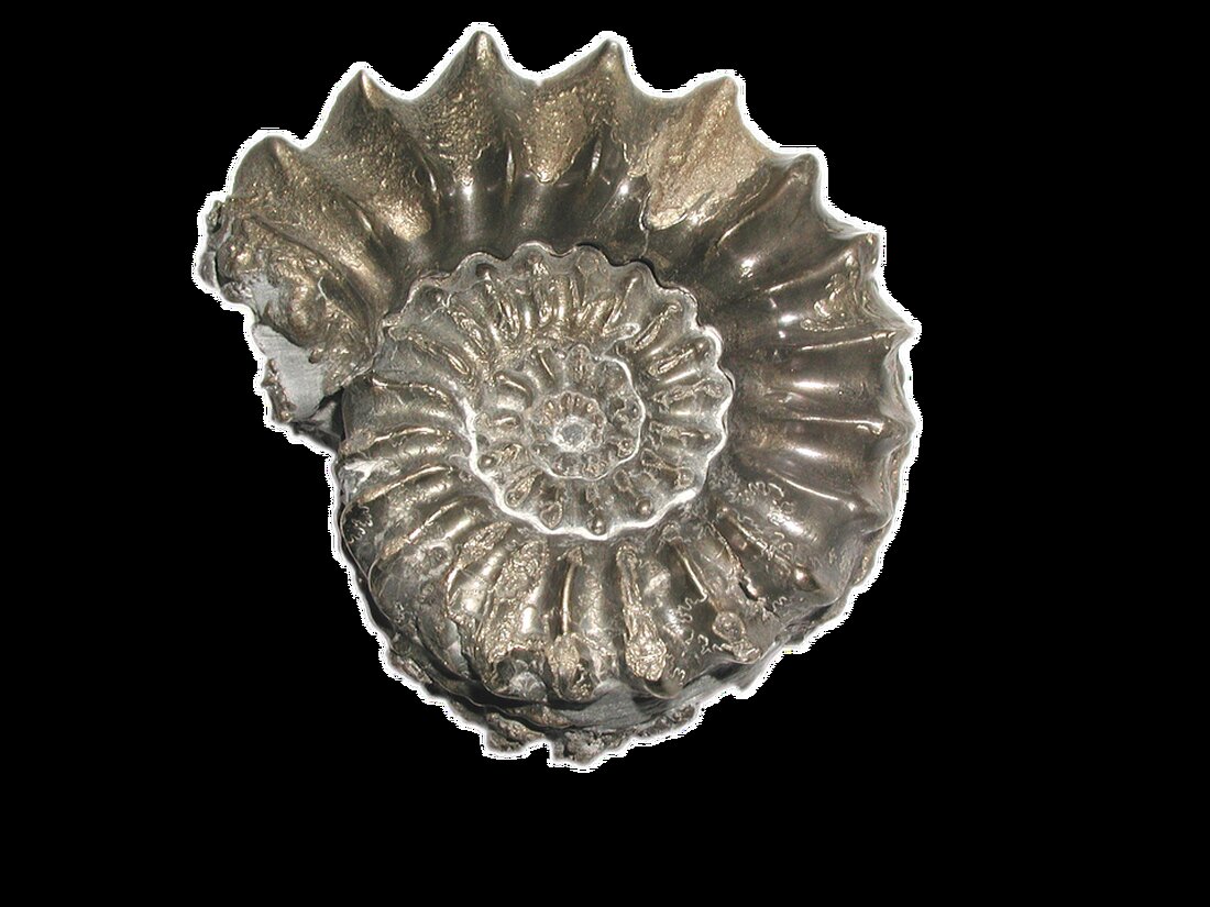 Entdecken Sie das Geiseltal in Sachsen-Anhalt: Ein faszinierendes Reiseziel voller prähistorischer Fossilien und Weinbau!