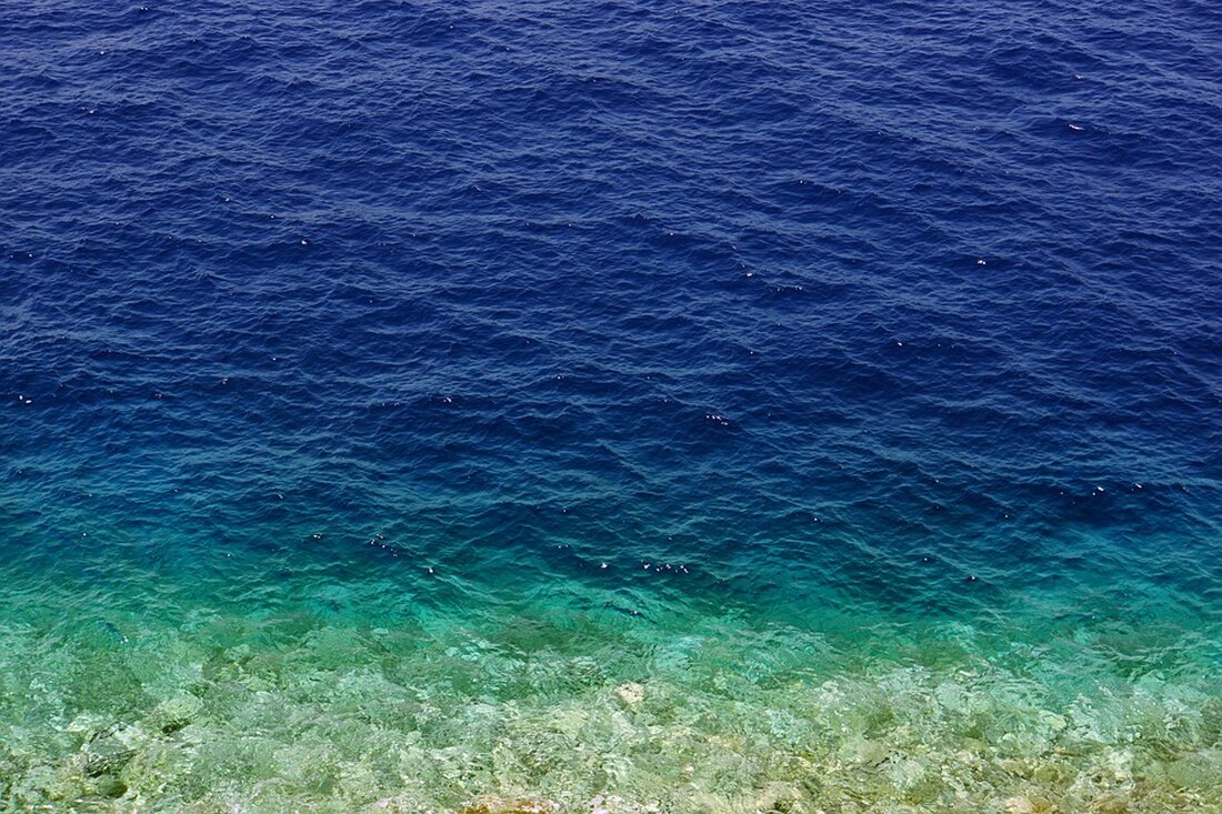 Entdecken Sie die aktuellen Hai-Sichtungen im Mittelmeer: Ursachen, Risiken und wie Sie sicher bleiben können.