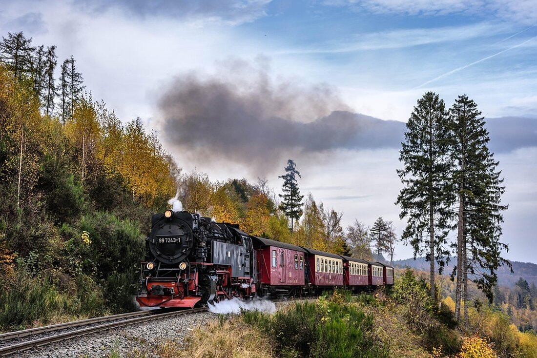 Sinkende Übernachtungszahlen und Klimawandel gefährden den Tourismus im Harz. Erfahren Sie mehr über Herausforderungen und Lösungen.