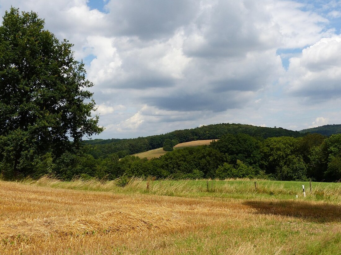 Entdecken Sie die Haßberge: Von landschaftlicher Schönheit über regionale Köstlichkeiten bis hin zu kulturellen Highlights und Freizeitaktivitäten – ein unvergessliches Erlebnis!