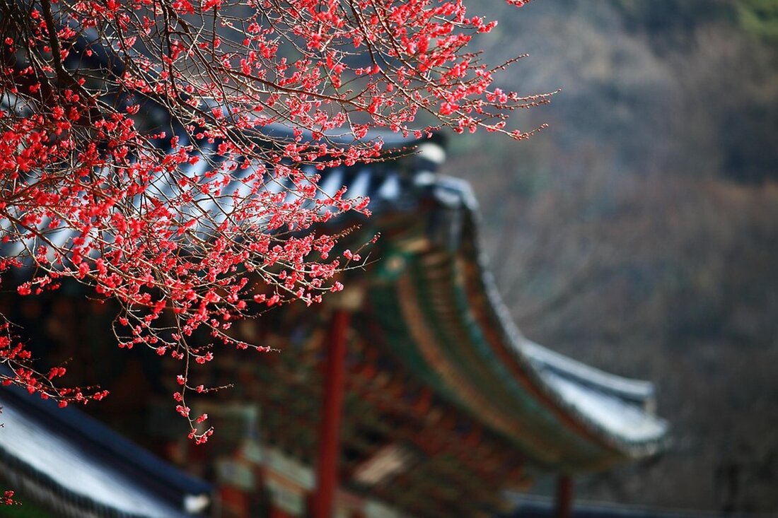 Entdecken Sie die besten Herbstreiseziele in Korea für Outdoor-Aktivitäten wie Paragliding, Kanufahren und Wandern.