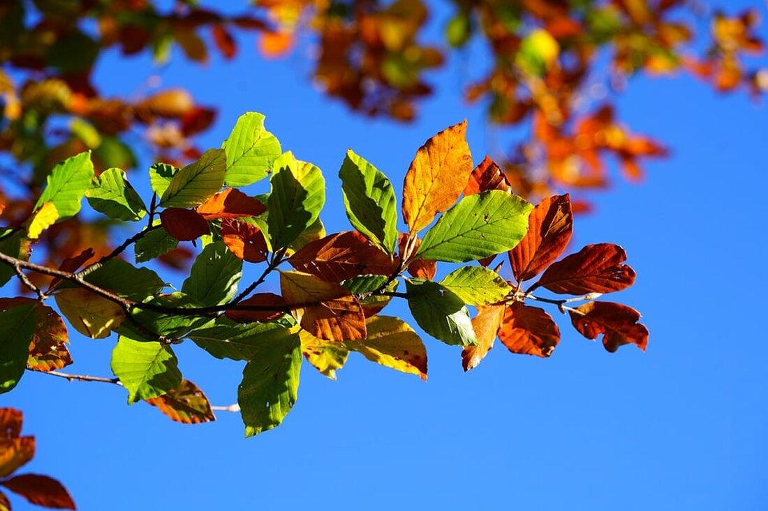 Entdecken Sie warme Reiseziele in der Nähe von Deutschland für den Herbst 2025. Ideal für Sonnenbader und Kulturinteressierte!