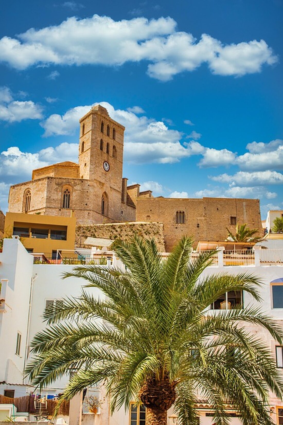 High Life Reisen organisiert eine Inforeise nach Ibiza für Reisebüros, um die Schönheit der Insel zu entdecken und neue Angebote zu entwickeln.