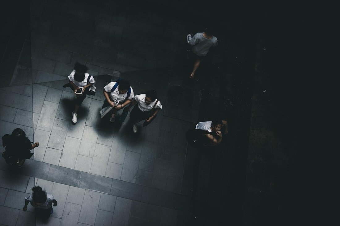 Entdecken Sie, wie Jugendliche im Tam Duong-Distrikt durch innovative Projekte zur ländlichen Entwicklung, Umweltschutz und wirtschaftlicher Förderung aktiv beitragen.