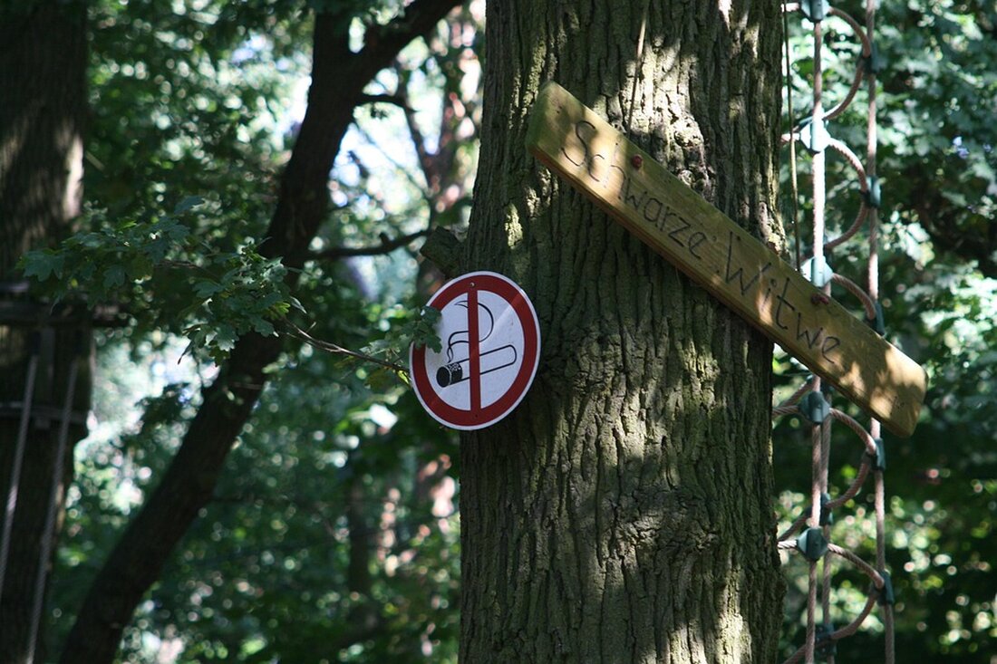Im Tegernsee-Gebiet entsteht der Kletterwald Wallbergmoos, eine nachhaltige Freizeitattraktion mit acht Parcours für alle Altersgruppen.