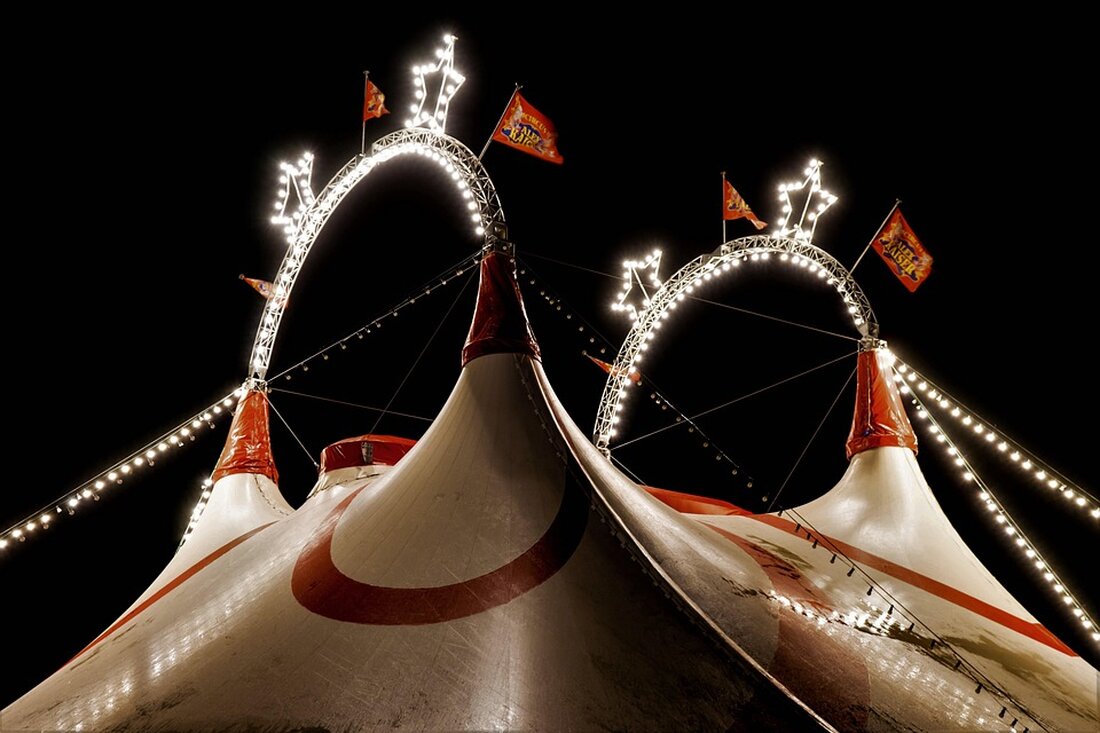 Am 12. Juni 2025 legte die „Carnival Miracle“ erstmals in Warnemünde an, Teil einer Saison mit 165 Kreuzfahrten.