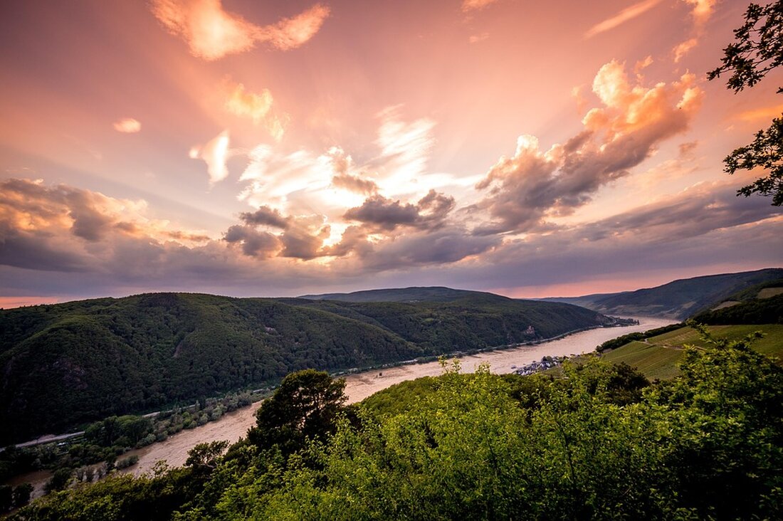 Entdecken Sie die Schönheit von Mainz-Bingen: Weinregion, historische Schätze, lokale Kulinarik, Naturerlebnisse und kulturelle Feste warten auf Sie!