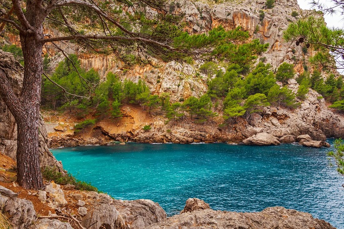 Künftige Airbnb-Anzeigen auf Mallorca: 65.000 illegale Inserate gelöscht! Maßnahmen gegen Wohnungsengpass und unfairen Wettbewerb.