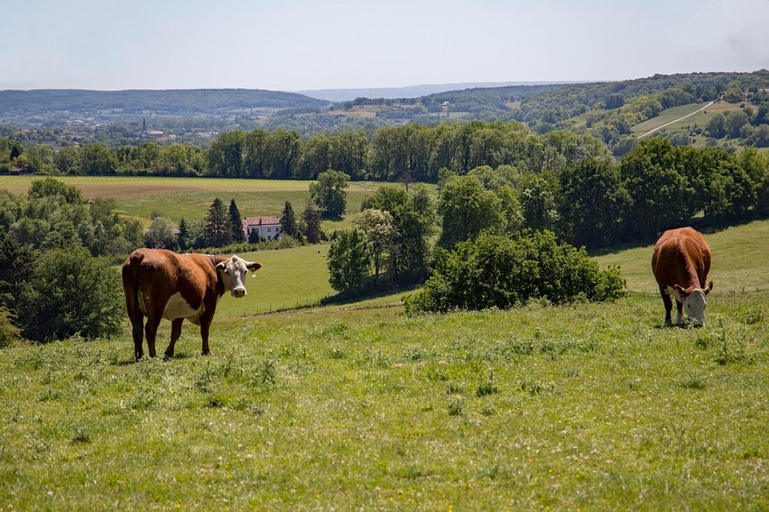 Masernfälle steigen in Limburg und Antwerpen. Informieren Sie sich über die Impfquoten und aktuelle Entwicklungen zur Reisewarnung.