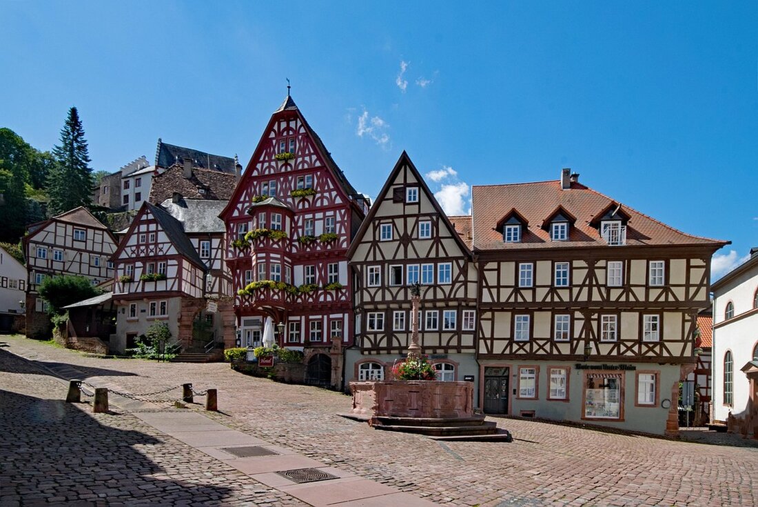 Entdecken Sie Miltenberg: von der charmanten Altstadt über kulinarische Genüsse bis hin zu spektakulären Naturabenteuern. Ideal für Ihren Wochenendausflug!