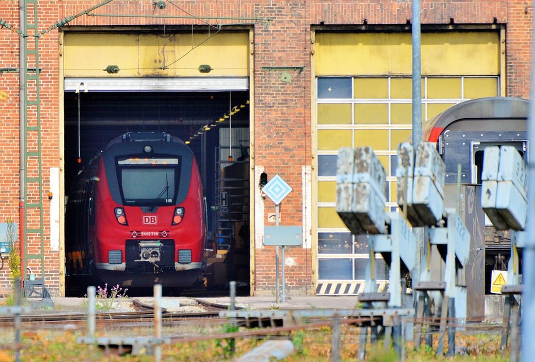 Ein deutscher Ehemann wird nach dem Verschwinden seiner Frau während einer Kreuzfahrt freigesprochen. Der Fall wirft Fragen auf.