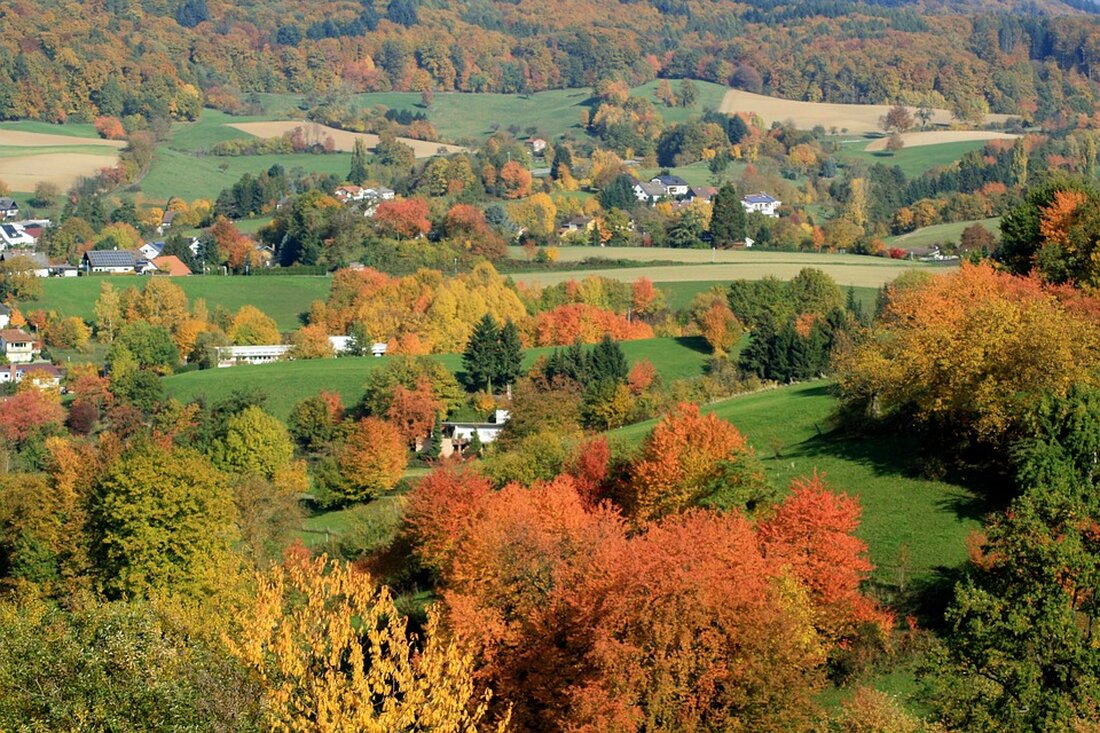 Entdecken Sie den Neckar-Odenwald-Kreis: malerische Landschaften, leckere Spezialitäten, historische Stätten und spannende Outdoor-Abenteuer warten auf Sie!