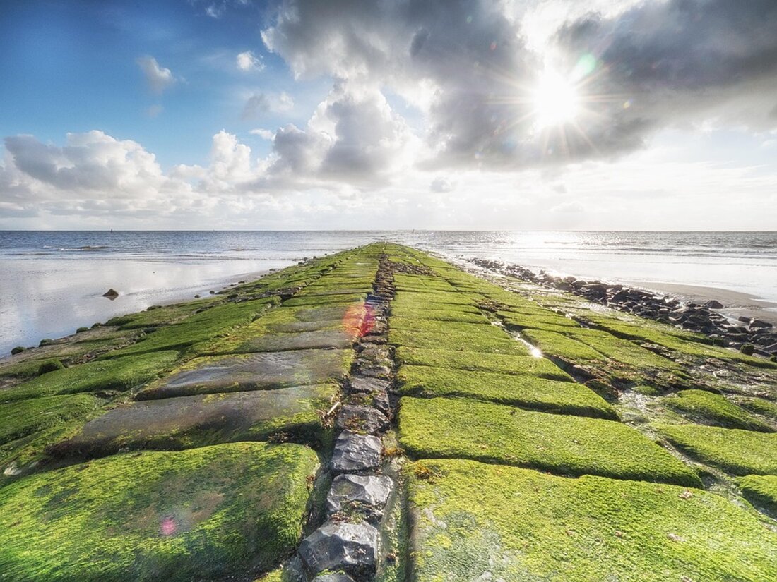 Entdecken Sie die beliebtesten Nordseeinseln: Norderney, Juist und Langeoog im Vergleich – Ruhe, Erholung und Strandvielfalt erwartet Sie.