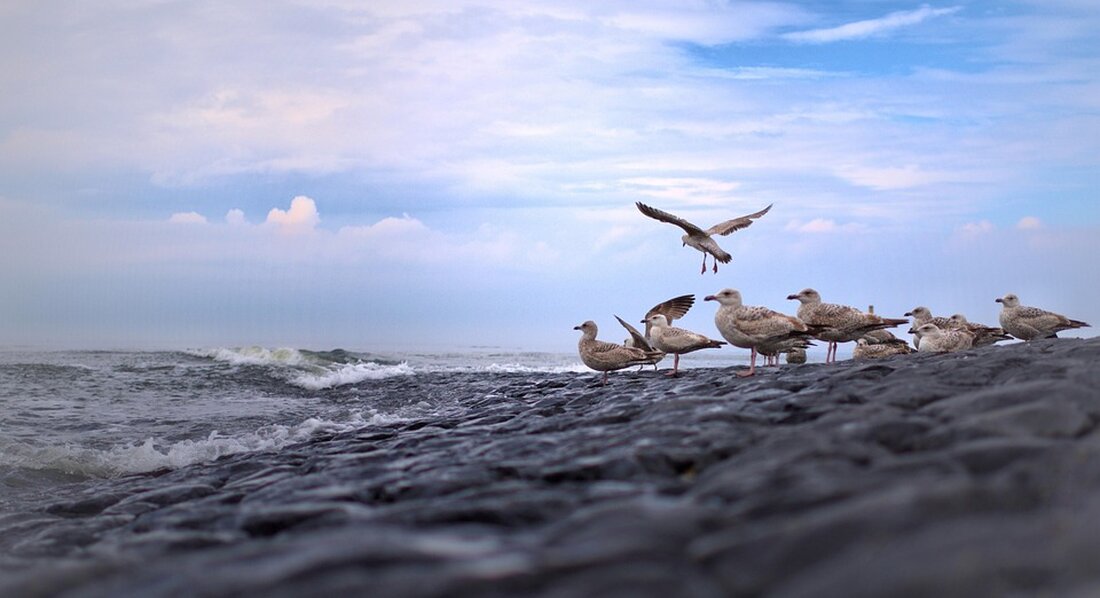 Entdecken Sie die Nordseeinseln: Norderney verliert an Beliebtheit gegenüber Juist und Langeoog – Ruhe und Natur im Fokus.