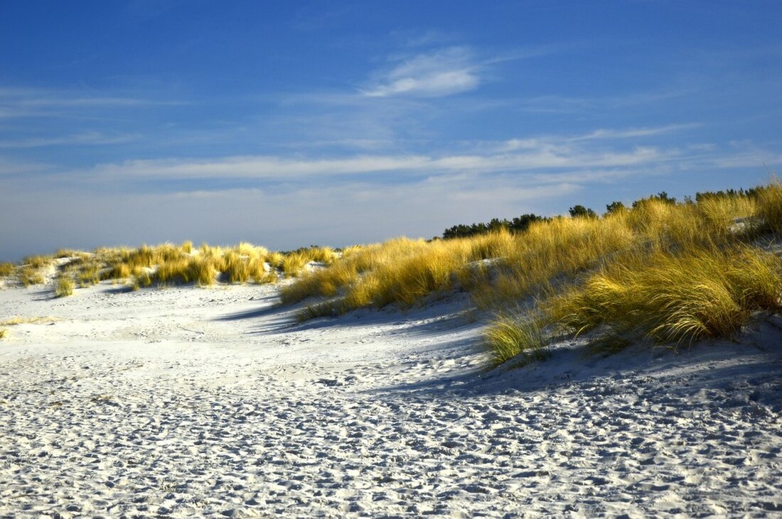 Die Ostseeküste bleibt Deutschlands beliebteste Urlaubsregion. Rund 20 Millionen Deutsche ziehen 2025 heimische Ziele vor.