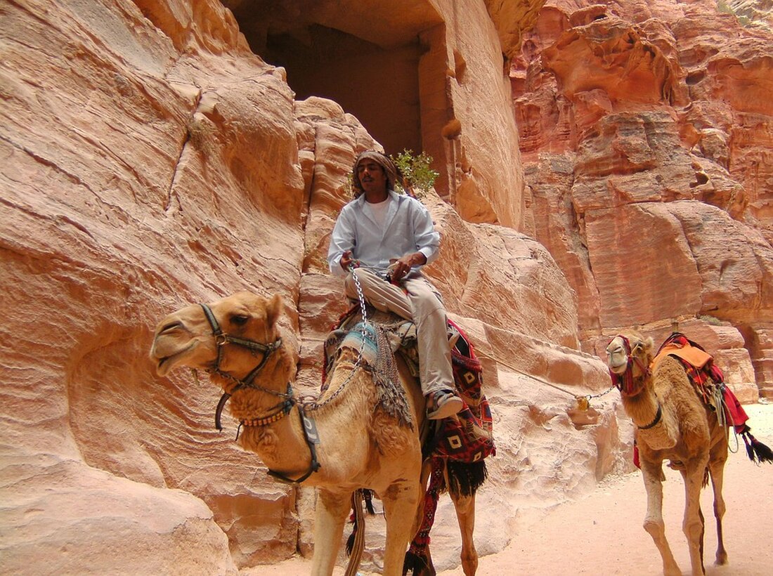Entdecken Sie in "Petra geht baden" die Abenteuer und Beziehungsthemen einer frisch pensionierten Frau und ihrem Ehemann während einer unkonventionellen Wohnmobilreise durch Tschechien.