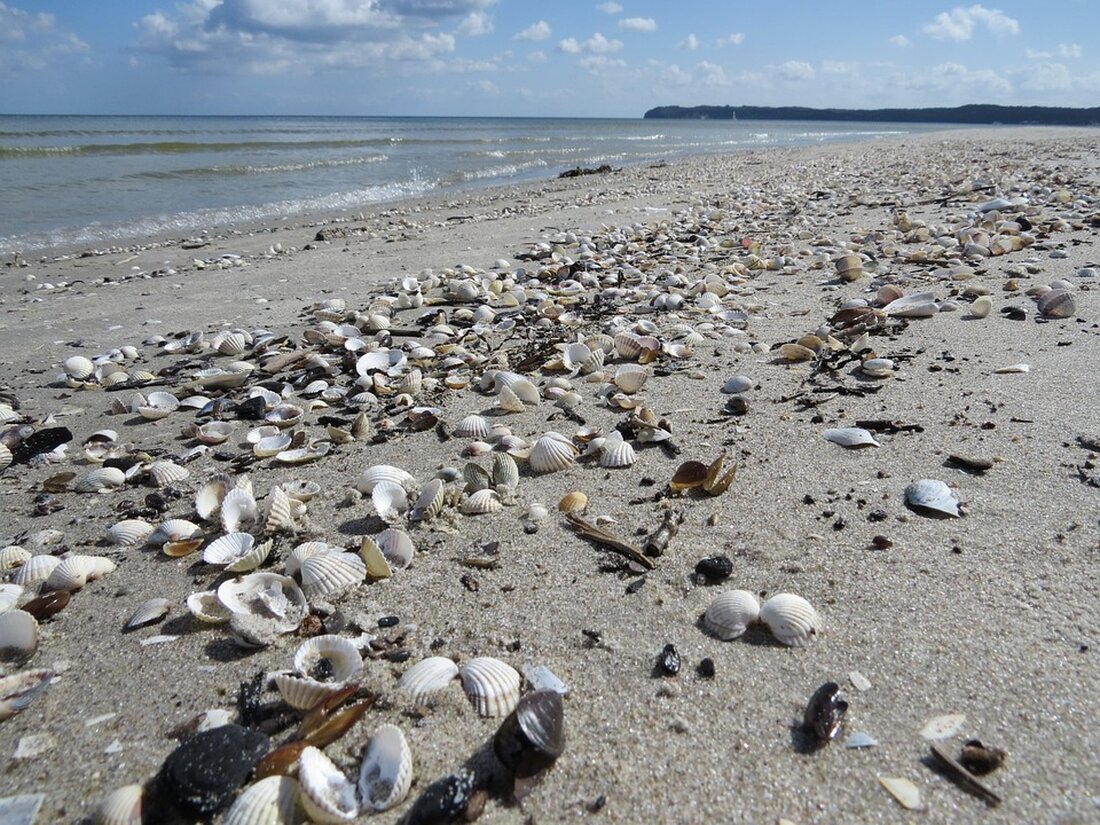 Entdecken Sie die Geschichte von Prora an der Ostsee: von der NS-Vorzeigeanlage zum modernen Urlaubsstandort mit Herausforderungen.