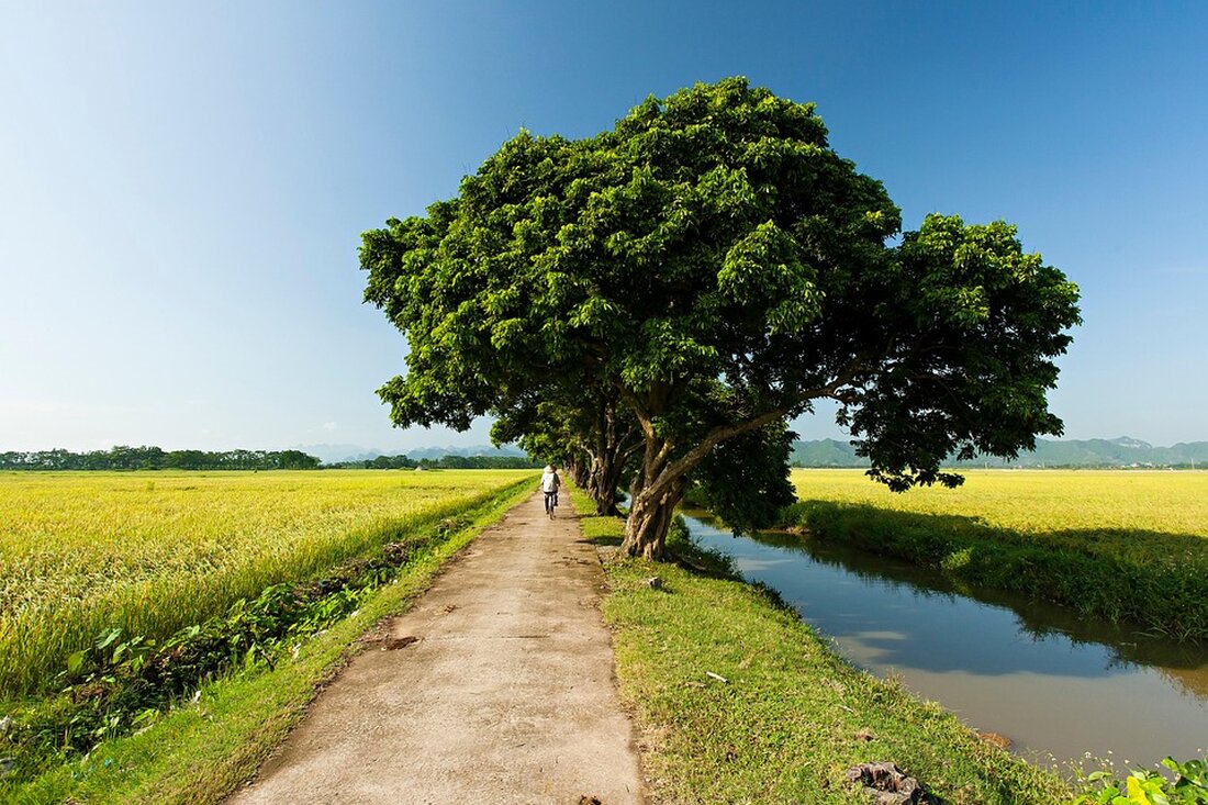 Forum in Laos vom 23.-25. Mai 2023: Stärkung von Handel, Investitionen und Tourismus zwischen Vietnam und Laos.