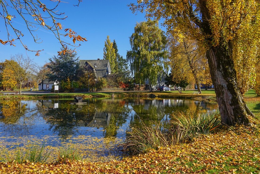 Entdecken Sie die Schönheiten des Rhein-Hunsrück-Kreises: Naturwunder, historische Burgen, kulinarische Highlights und versteckte Ausflugsziele warten auf Sie!